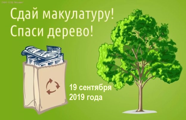 ГБОУ школа № 15